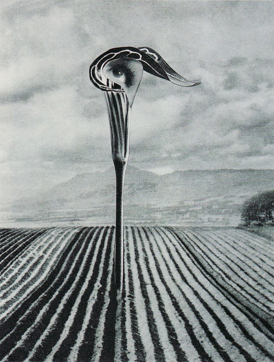 Karel Teige, Collage #325 , 1947