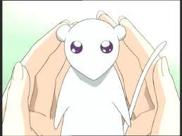 Name: Yuki Sohma Anime: Fruits Basket Occupation: Student Curse Year: Rat Age: 16 - 18 Yuki is a reserved, talented, and isolated young man. Suffering terrible emotional abuse at the hands of Akito Sohma while he lived at the main house causes him to