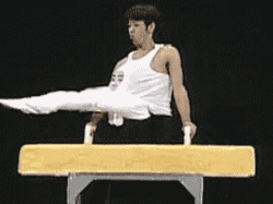 sofunnygifs:  The newest Olympic sport is called Duo Pommel horse. Poetic isn’t it? More Funny Gifs