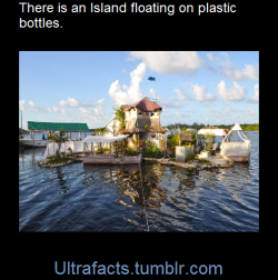 ultrafacts:  Spiral Island is the name of a floating artificial island built in Mexico by British artist Richart “Reishee” Sowa. It was destroyed by hurricane Emily in 2005; a replacement, Joyxee Island, has been open for tours since 2008. Spiral