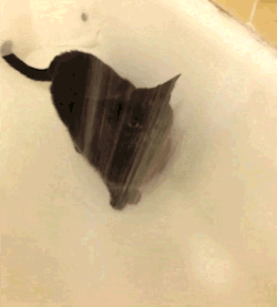 baddwooolf:  this is how I spend my first 10mins in the shower. 