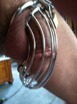 leatherboy111:  Locked in my metal birdcage