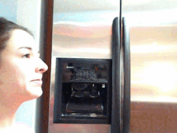 stormy-the-fae:  helabarn:  therac00neater:  mymindchangesalot:  I TRIED SO HARD NOT TO REBLOG THIS  You’re not the only one pal.  I can see me doing this  I have that exact same fucking fridge.   DAFUQ DID JUS&rsquo; C?!