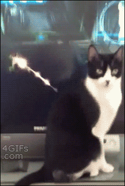 sweethoney3:  4gifs:  [video]  I am laughing so hard at this!!