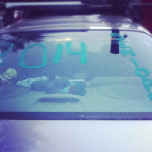 I don’t want to be the first person that does this! #seniors #green #spartans #car #window #paint #winter #carnival
