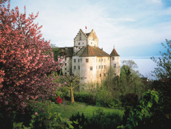 willkommen-in-germany:Meersburg Castle on the Bodensee (Lake Constance) in Baden-Württemberg, Southwestern Germany, is the oldest inhabited castle in Germany. Its central tower was first built during the 7th century, though the original structure is