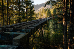 thewanderingbison:  The Vance Creek Bridge, WashingtonTaken on Nikon. Sunrise on the frosted Vance Creek Bridge in the Olympic National Forest. At 348 feet high it is the second largest arch train-bridge ever constructed in the United States. Its neighbor