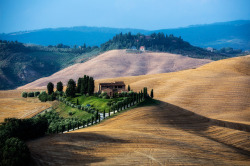 eccellenze-italiane:  Tuscany. Harvest time