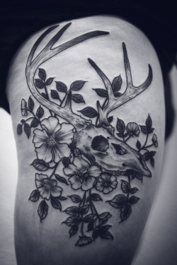alicecarrier:  thanks amy!!!! deer skull and wild roses, color soon!