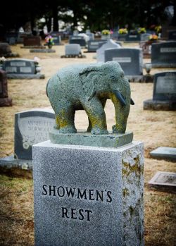In Hugo, OK (Circus City USA) there is a cemetery that has a special section for deceased circus performers. There are some very interesting headstones with elephants, clowns, and big top tents.