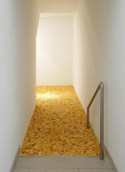 mitjaissick:  Thomas Rentmeister Earthapfelroom, 2007 Kartoffelchips, potato chips, ca. 70 x 500 x 250 cm