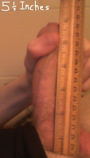 subbii:  I measured my penis, as requested. porn pictures