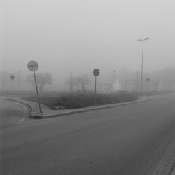 ophne:  Yesterday my city was Silent Hill.