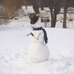  Ha nevado toda la noche. He aquí mi mañana:08:00 : Hago un muñeco de nieve.08:10 : una feminista pasa y me pregunta por qué no hago también una muñeca de nieve.08:15 : entonces hago también una muñeca de nieve.08:17 : la canguro de los vecinos