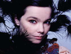 bdork:  intothedarkwoods:Björk photographed by Warren du Preez and Nick Thornton-Jones 2002