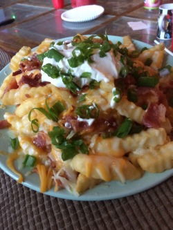 Best. Dinner. Ever. Bacon cheese fries with