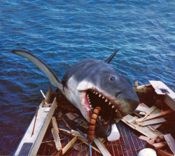 vintagegal:  Behind the scenes of Jaws (1975) From
