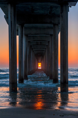littlelionschild:  0rient-express:  Pier Sunset | by John Moore.  Pretty sure this is in South Carolina 