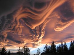 Undulatus Asperatus Clouds over New Zealand