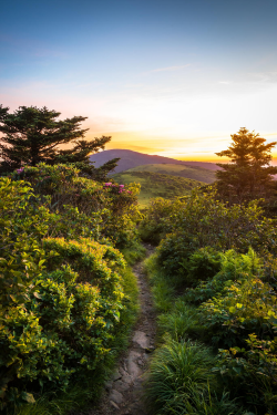 expressions-of-nature:  Sunset Hike at Roan