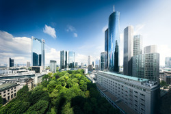 cityscapes:  Frankfurt City by pfn