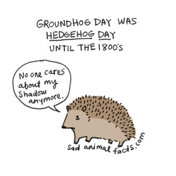 Let’s not forget that today is the official hedgehog killing day in Sweden! Collect as many as you can in your pyre and burn away!Glad Valborg, för fan. :D