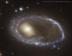 into-theuniverse:  Ring Galaxy AM 0644-741