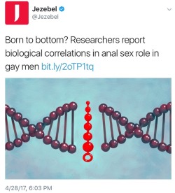 pro-gay: sexhaver:  ethnicjewofficial:  whitegirlsaintshit:  *gets “born to bottom” tatted on my buttcheek*  (ABAB) assigned bottom at birth  whoever designed that graphic deserves some sort of award   Sorry sjws, theres only two genders: top and