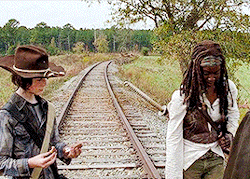 Ricky-Grimes:  ⋆ Michonne Appreciation Week ⋆ Day Three  Favorite Relationships: