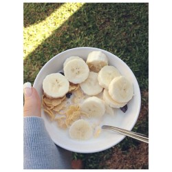 cleanbodyfreshstart:  {organic corn flakes with natural sultanas, a banana and soy milk} 