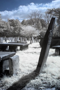 Historic Eastham Village, old graveyard (this is infrared photography).