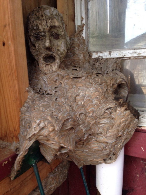 Sex elmatpe:  cthulhucoffee:  Wasp Nest Merges pictures