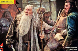 the-hobbit:  First Still released of The Hobbit: The Battle of the Five Armies featuring Gandalf &amp; Bard 