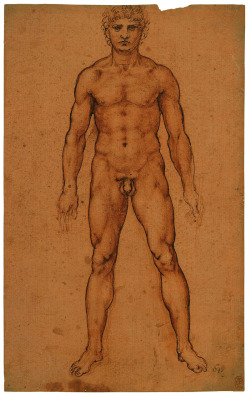 Nude man by Leonardo da Vinci | c. 1504-1506 | Red chalk and pen and ink on pale red paper | 23.7 x 14.6 cm | Royal Collection. 