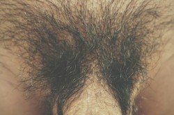 w-y-s-f:  sp0nge-worthy:  w-y-s-f:  sp0nge-worthy:  06/12/15  this would have been a great submission for tomorrow’s theme. le sigh*  This was actually taken right before I trimmed my pubic hair.  I’ll try to find time and submit something tomorrow