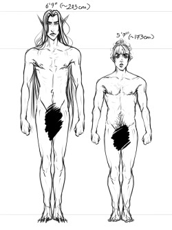 Height and body chart for Vikrolomen and Skogselv’s Vincialem, a particularly tall Bosmer