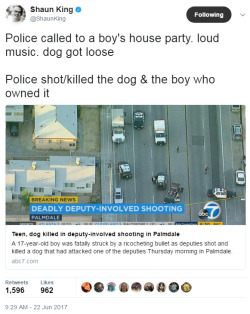 lagonegirl:     Can’t be black in America. Born a suspect. This would NEVER have happened to a white kid.  NEVER     Anywhere else this would be world news, but in America it is not even national news. So the Boy and his Dog were shot a killed by