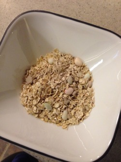 the-real-mozart:devongreen:dashdrive:  this oatmeal has god damn dinosaur eggs in it and then when you cook it THE DINOSAURS FUCKIN HATCH IM SO PUMPED  Was this post made in 1996?  fun has no expiration date 