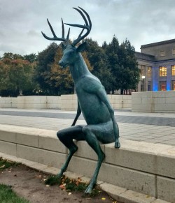 elizathornberrry:  servicek9s:  demicia:  ryuichifoxe:  The nightmare deer welcome you to Columbus Ohio (8  This makes me so uncomfortable  WHY   BECAUSE OHIO IS THE FUCKIN WORST 
