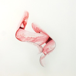 victoriousvocabulary:  LABIUM [pl. LABIA] [noun] 1. a lip or liplike part; lips. 2. Anatomy: a) a lip or lip-shaped structure or part. b) any of the folds of skin bordering the vulva.  3. Botany: the lower lip of a bilabiate corolla.  4. Entomology: the