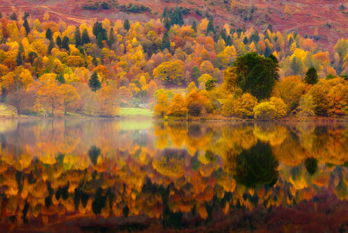 XXX nubbsgalore:  autumn reflections by david photo
