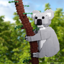 kockamaniahu:  LEGO Koala (by bruceywan)