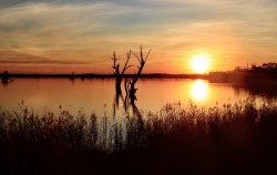 photosworthseeing:  Peaceful, Misty and Tranquil Sunset by Loch Luna ( A local Billabong) in South Australiahttp://speedilydeepruins.tumblr.com/Thank you for your submission. We love it!PWS - Photos Worth Seeing