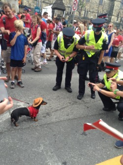 theonlyhopeformeisbands:  Canadian police on the job. 