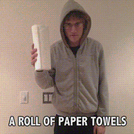 humoristics:  A roll of paper towels 