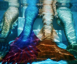 awesomeshityoucanbuy:  Deluxe Mermaid TailsSwim around the pool like a mythical creature of the deep with the deluxe mermaid tails. These beautiful tails are intricately decorated and painted in vibrant eye-catching colors. Best of all, every tail feature