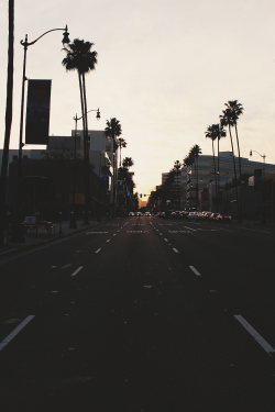 wearevanity:  L.A afternoon delight 