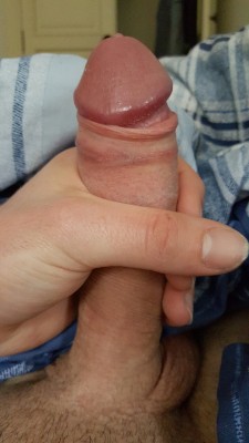 curiouslad22:  Suck me!   Would love too
