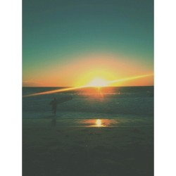sanfranciscolive:  original polaroid » instagram