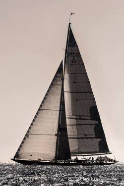 Crisp J sails